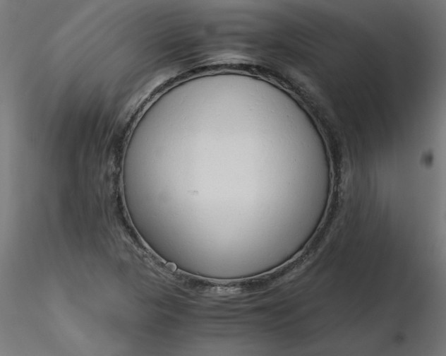 X0000116641313200912291547