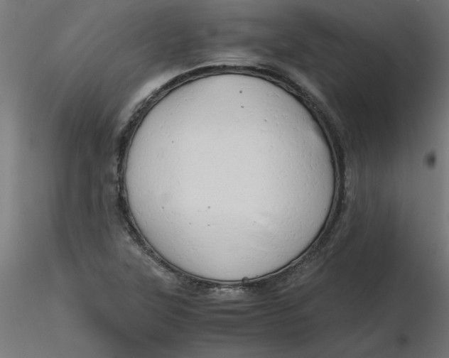 X0000116641315200912291547