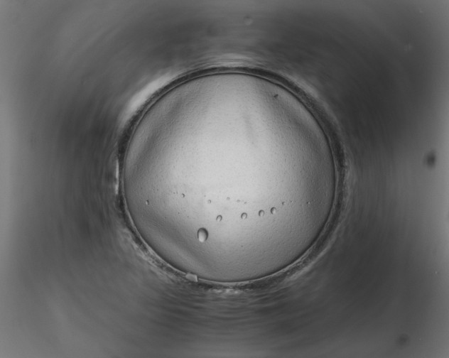 X0000116641317200912291547