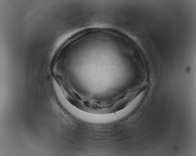 X0000116641319200912291547