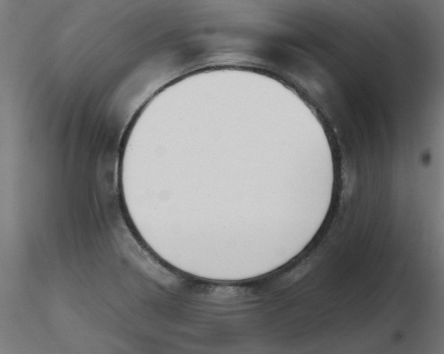 X0000116641322200912291547