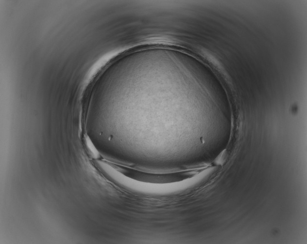 X0000116641323200912291547