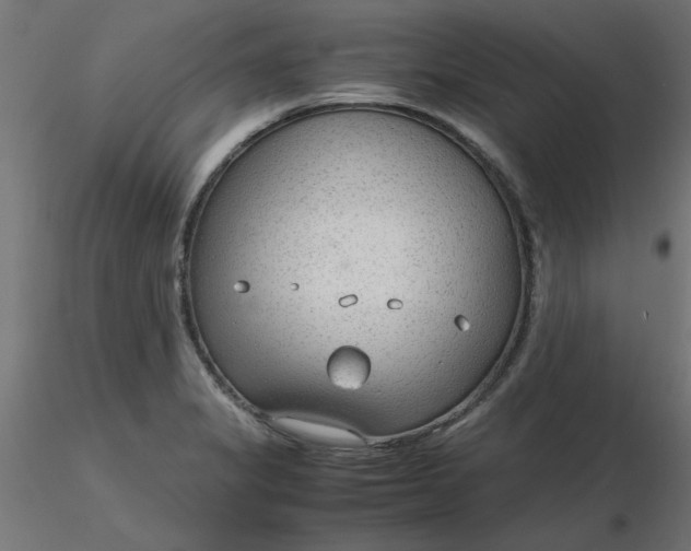 X0000116641325200912291547