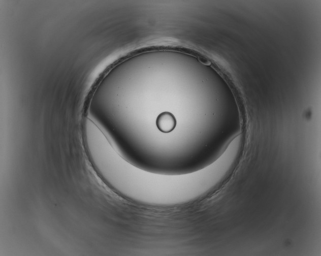 X0000116641326200912291547