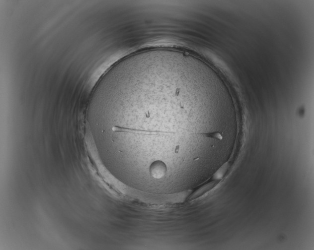 X0000116641329200912291547