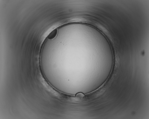 X0000116641330200912291547