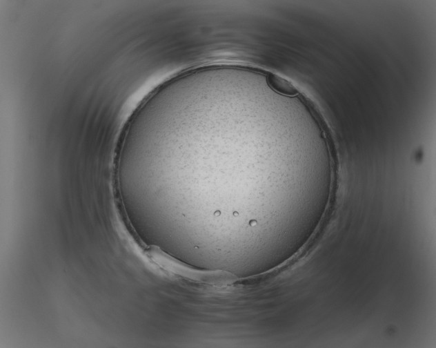 X0000116641333200912291547