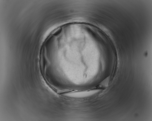 X0000116641334200912291547