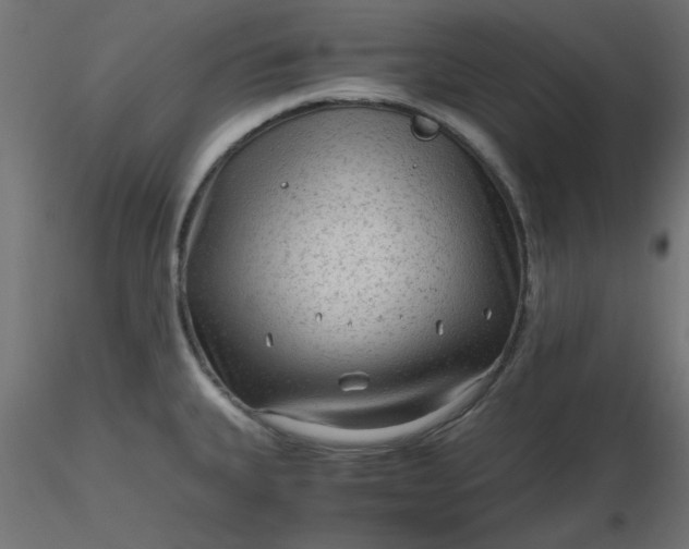 X0000116641335200912291547