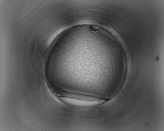 X0000116641337200912291547