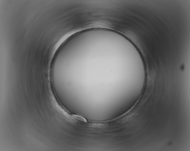 X0000116641339200912291547