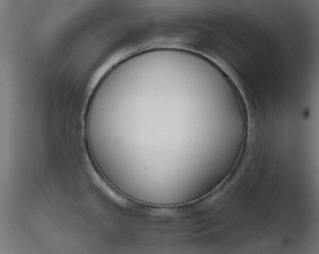 X0000116641341200912291547