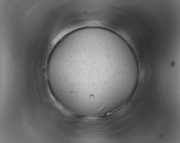 X0000116641342200912291547