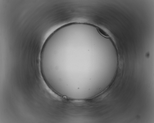 X0000116641343200912291547