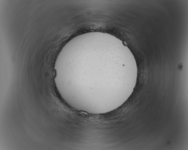 X0000116641345200912291547