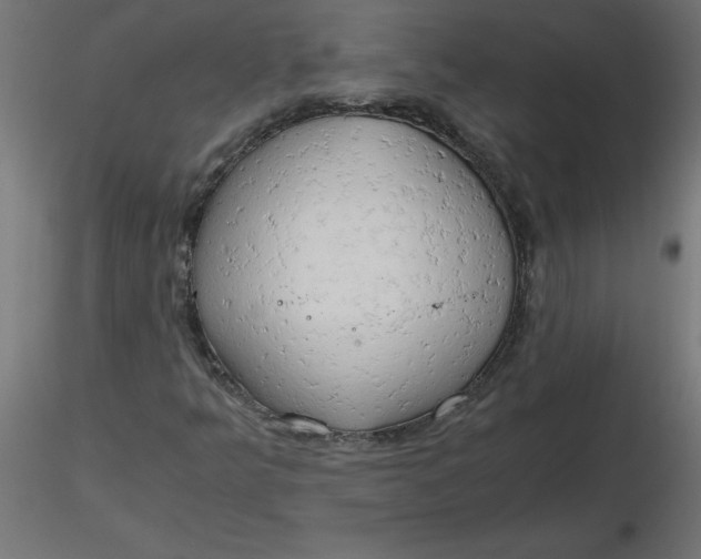 X0000116641349200912291547