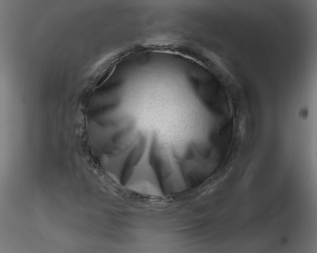 X0000116641350200912291547