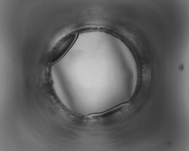 X0000116641352200912291546