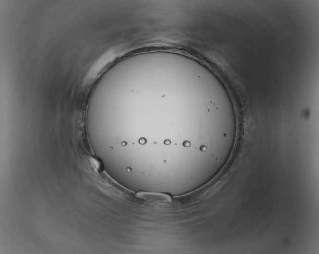 X0000116641355200912291546