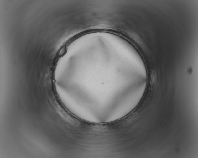 X0000116641356200912291546