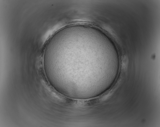 X0000116641357200912291546