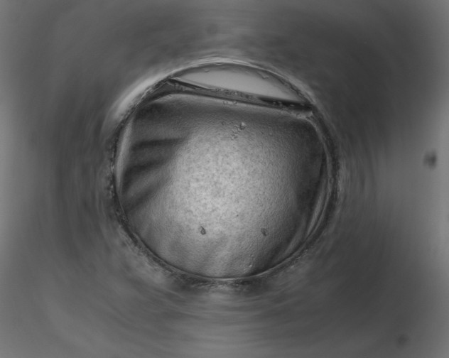 X0000116641359200912291546