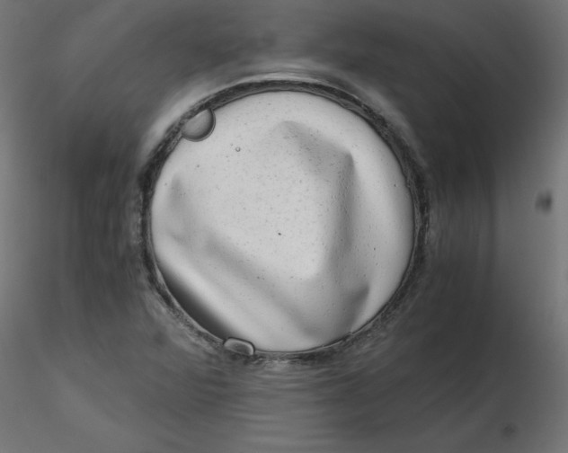 X0000116641360200912291546