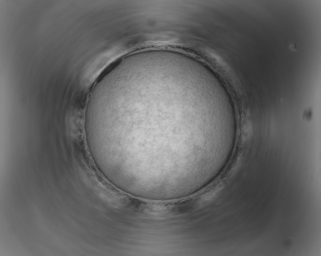 X0000116641361200912291546