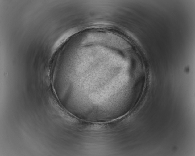 X0000116641362200912291546