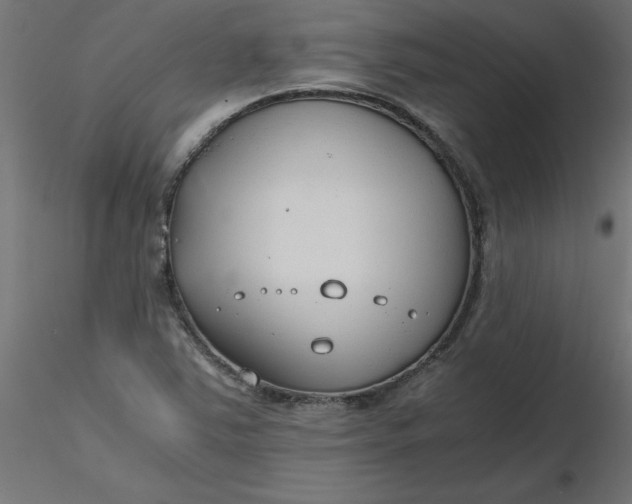 X0000116641363200912291546