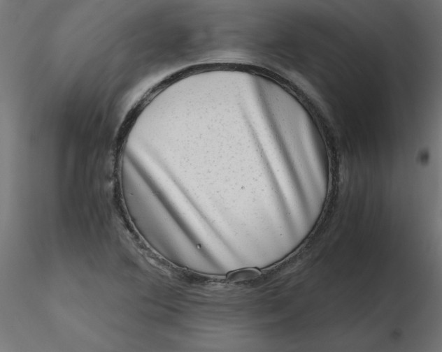 X0000116641364200912291546