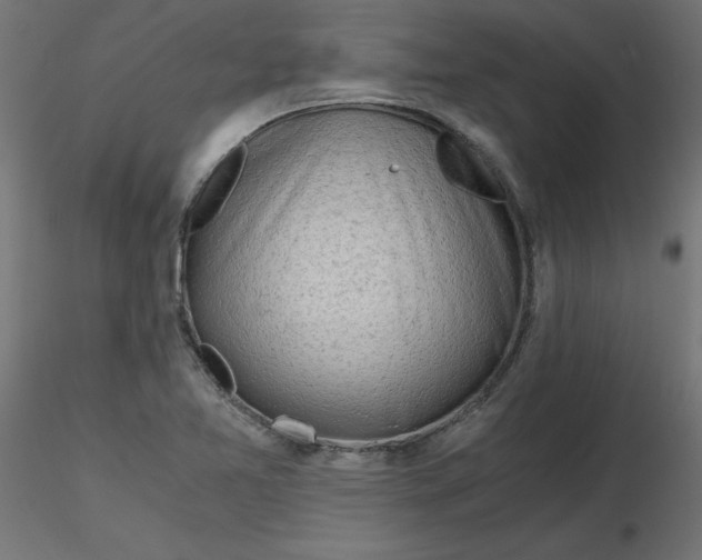 X0000116641365200912291546