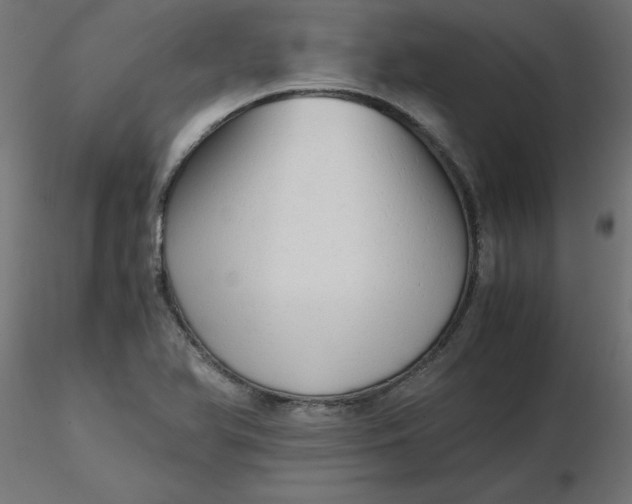 X0000116641366200912291546