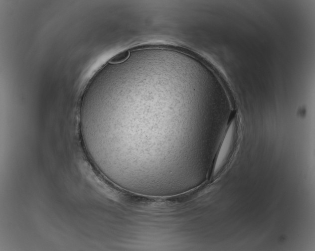 X0000116641367200912291546