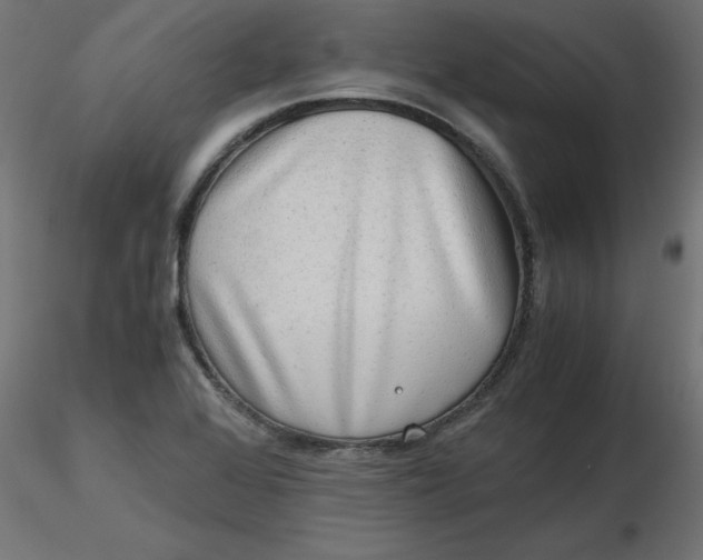 X0000116641368200912291546