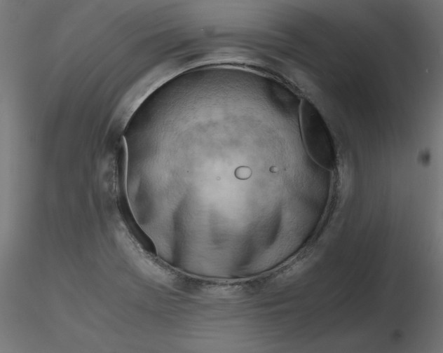 X0000116641369200912291546