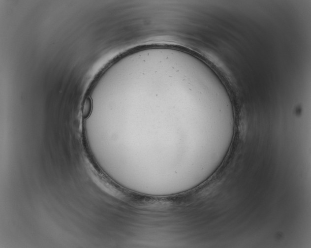 X0000116641372200912291546