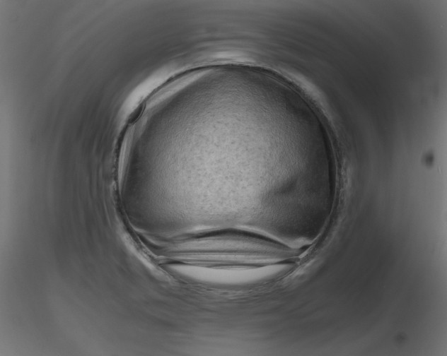 X0000116641373200912291546