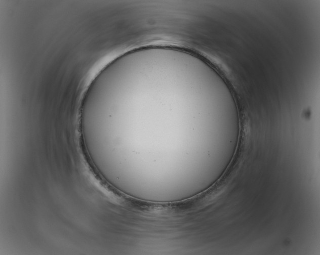 X0000116641375200912291546