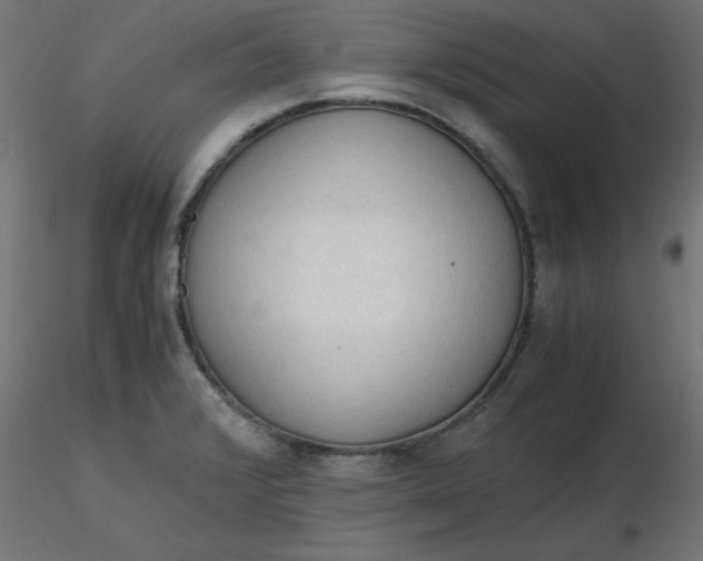 X0000116641376200912291546