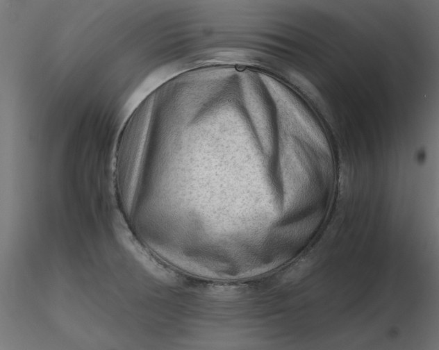 X0000116641378200912291546