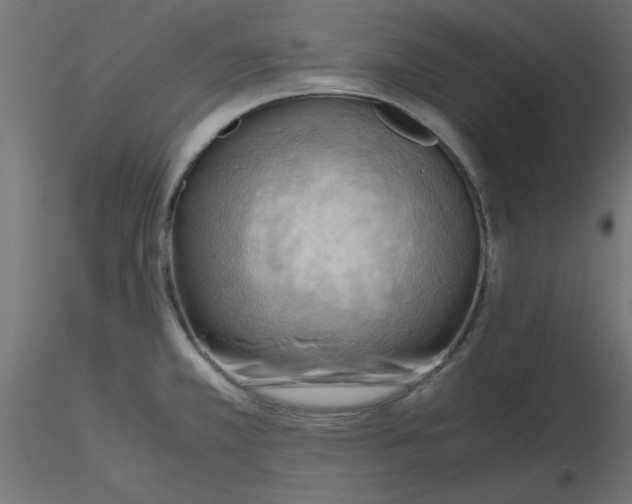 X0000116641381200912291546