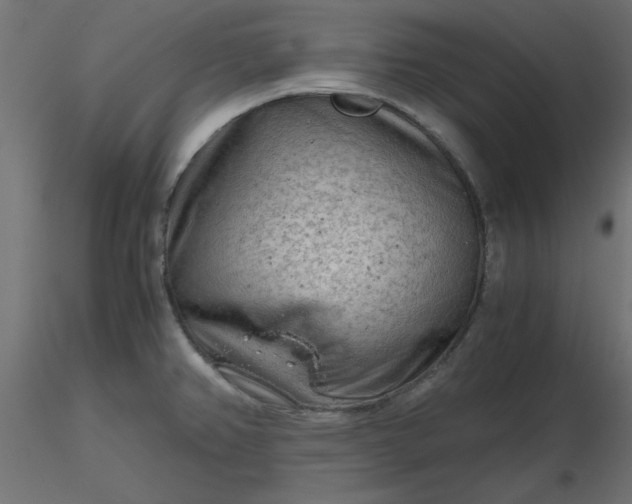 X0000116641382200912291546