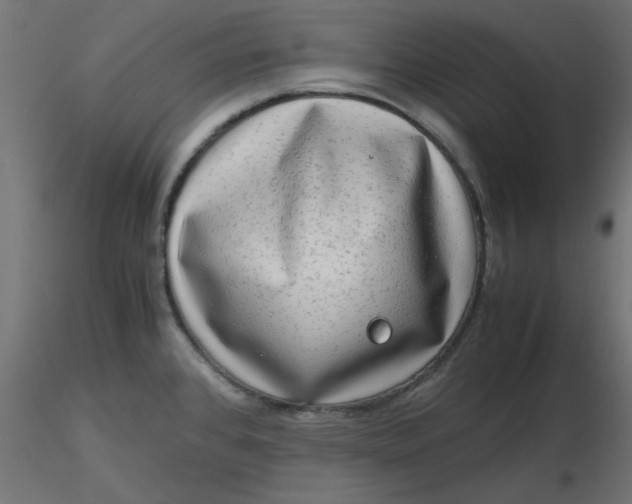 X0000116641384200912291546