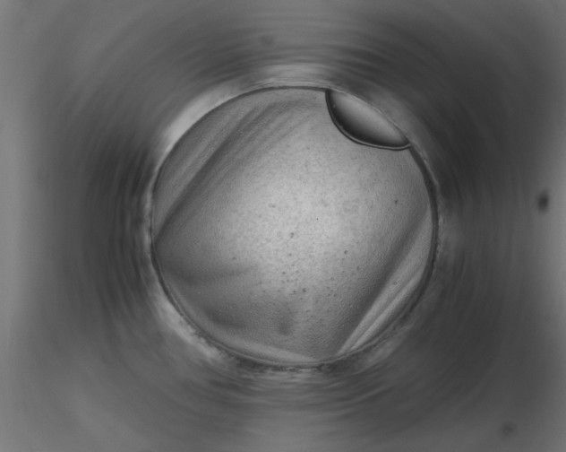 X0000116641386200912291546