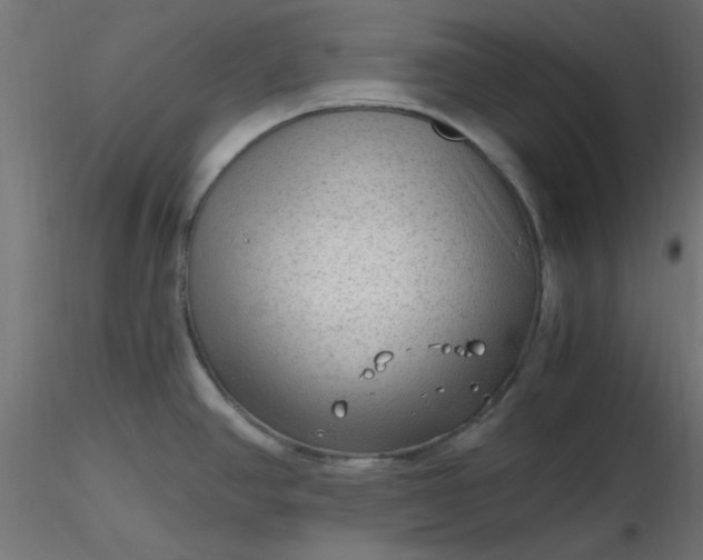 X0000116641390200912291546