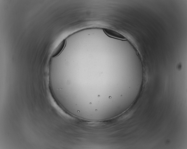 X0000116641391200912291546