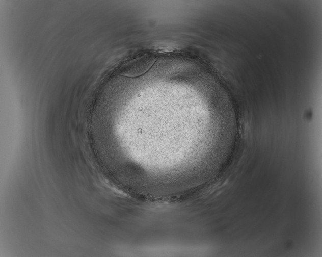 X0000116641393200912291545