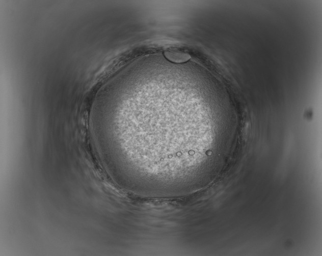 X0000116641397200912291545