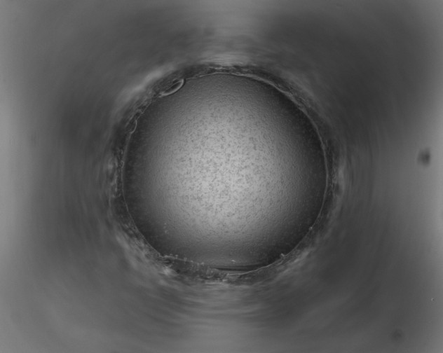 X0000116641398200912291545